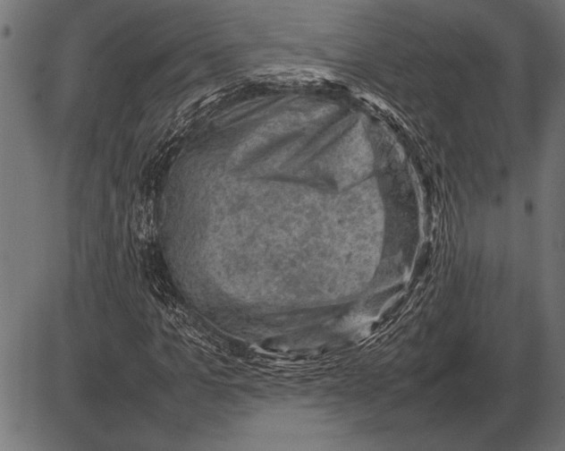 X0000085730965200704091440