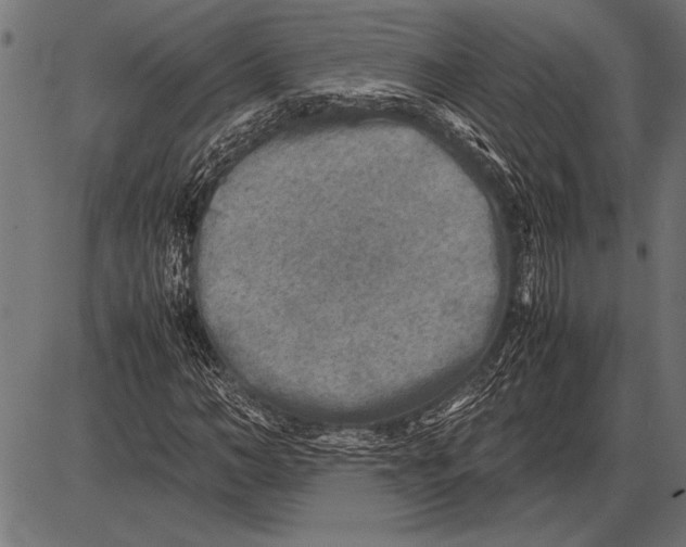 X0000085730966200704091440