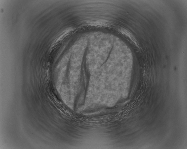 X0000085730968200704091440