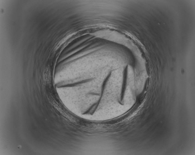 X0000085730969200704091440