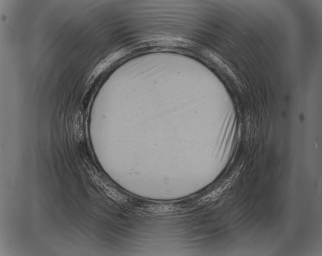 X0000085730970200704091440