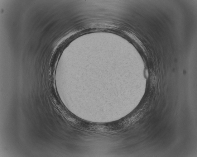 X0000085730971200704091440