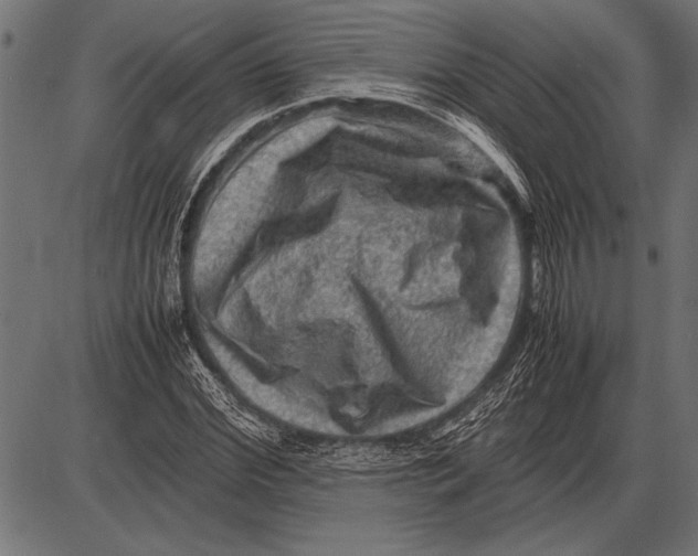 X0000085730972200704091440