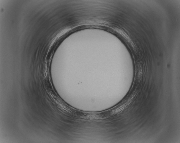 X0000085730974200704091440