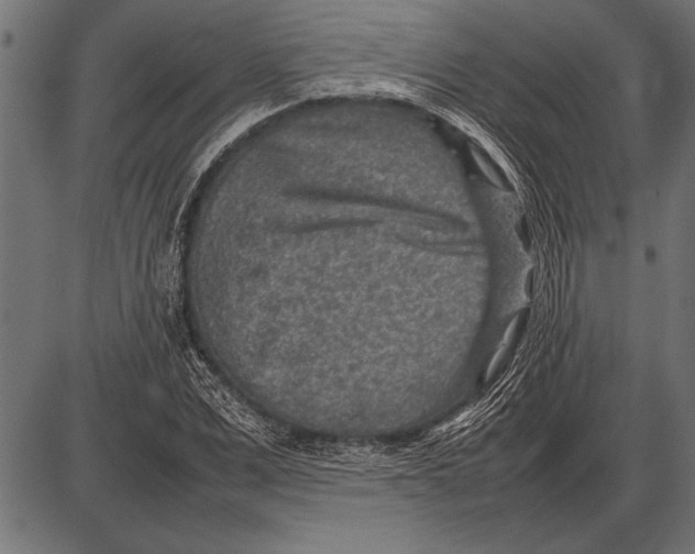 X0000085730975200704091440