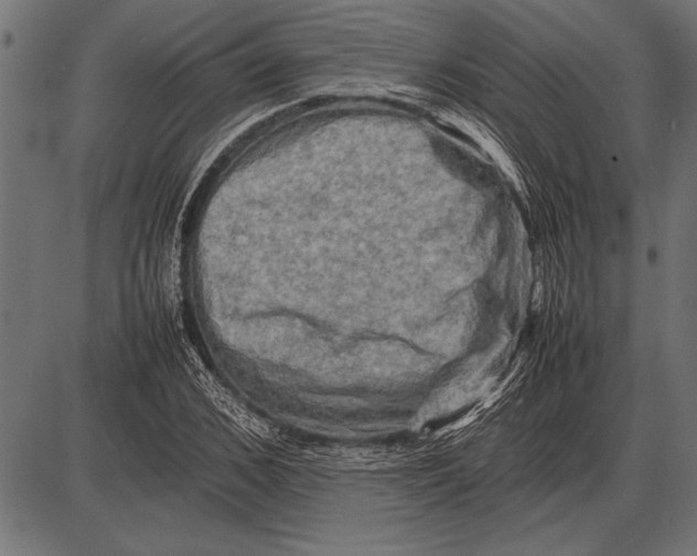 X0000085730976200704091440