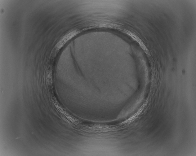 X0000085730977200704091440