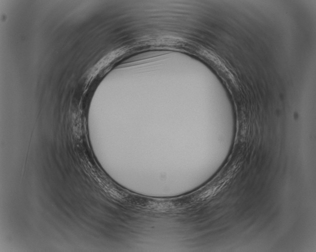 X0000085730978200704091440