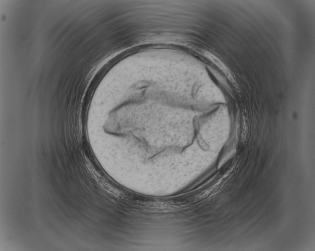 X0000085730980200704091440