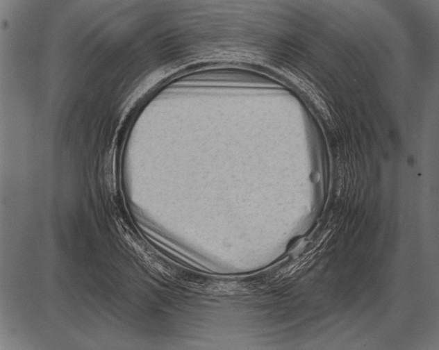 X0000085730982200704091440