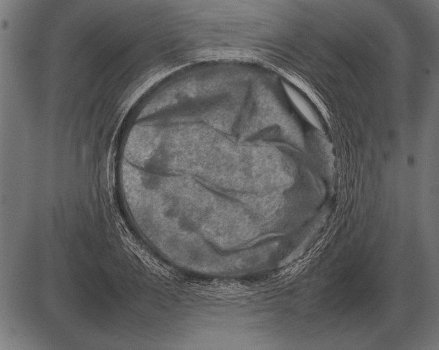 X0000085730983200704091440