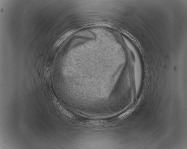 X0000085730985200704091440