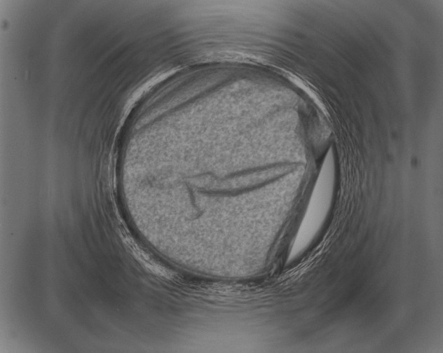 X0000085730987200704091439