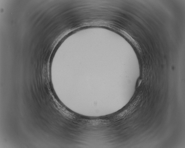 X0000085730988200704091439