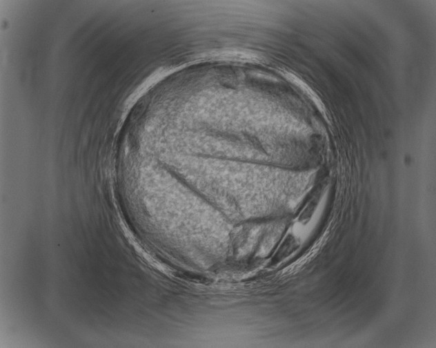 X0000085730989200704091439