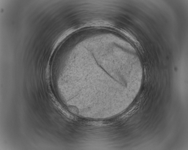 X0000085730990200704091439