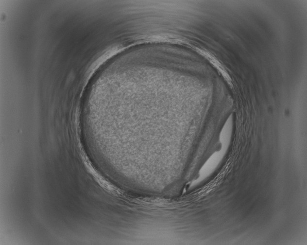 X0000085730991200704091439