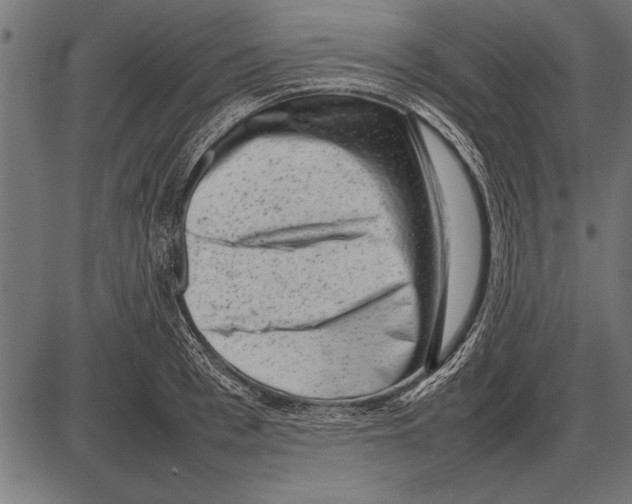 X0000085730993200704091439