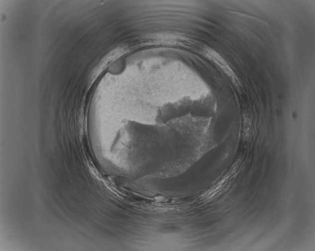 X0000085730994200704091439