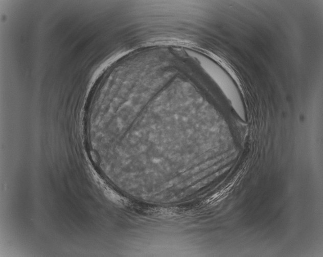 X0000085730995200704091439