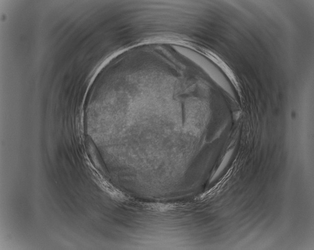 X0000085730996200704091439