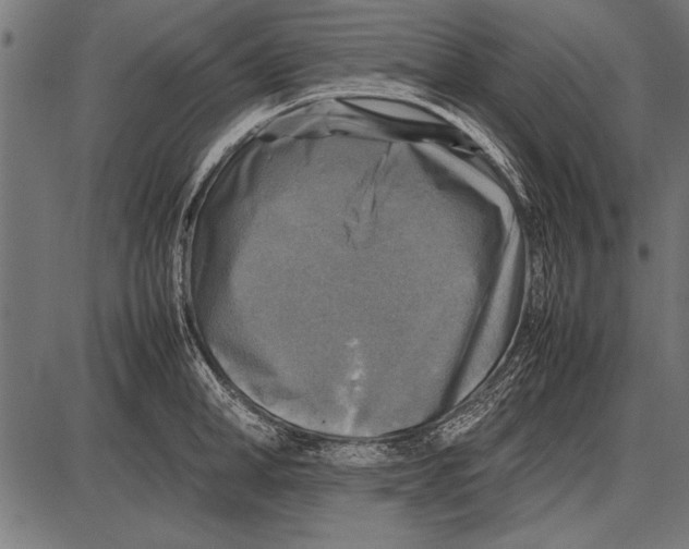 X0000085730998200704091439