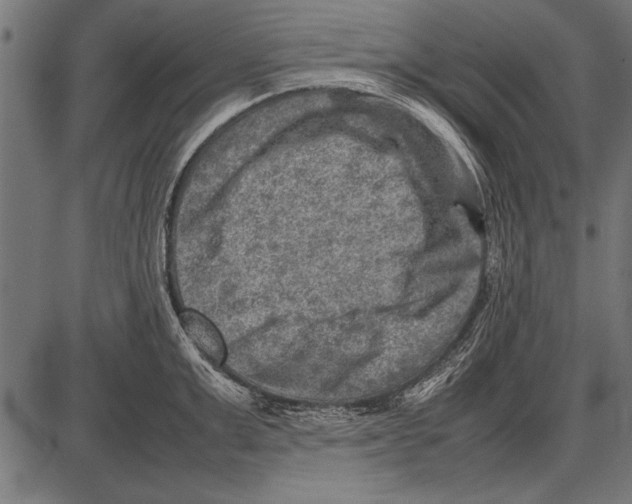 X0000085730999200704091439