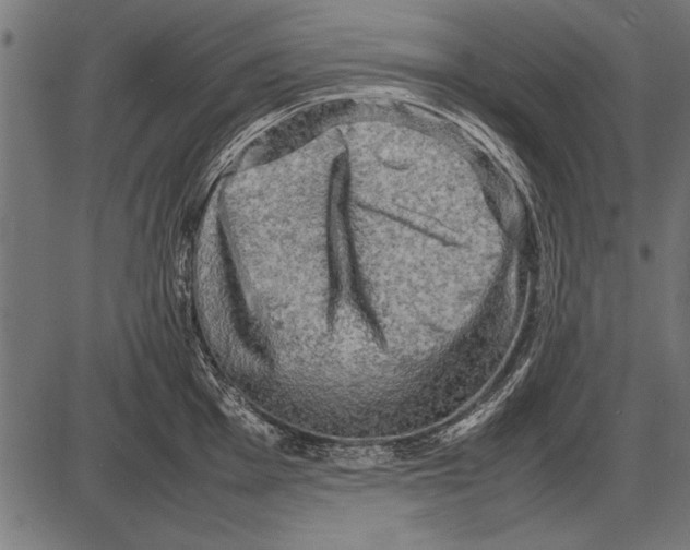 X0000085731001200704091439