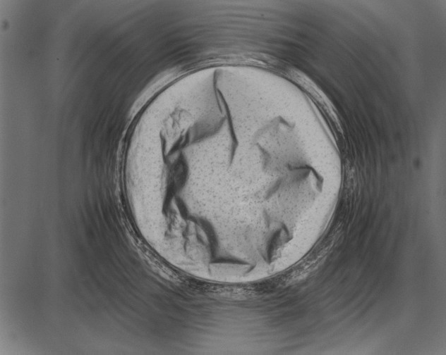 X0000085731002200704091439