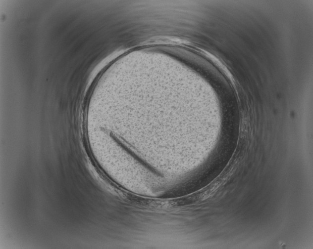 X0000085731003200704091439