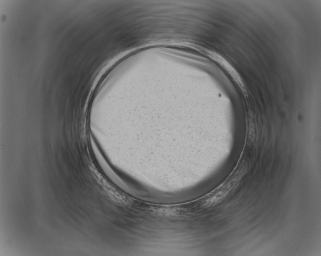 X0000085731004200704091439