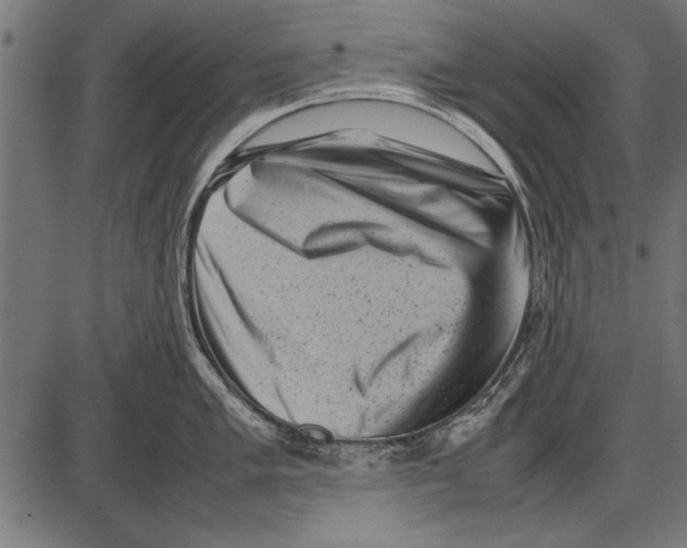 X0000085731005200704091439