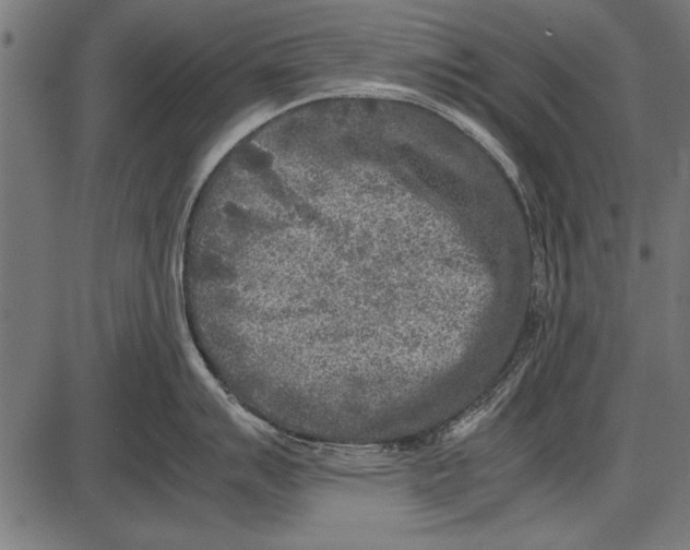 X0000085731007200704091439