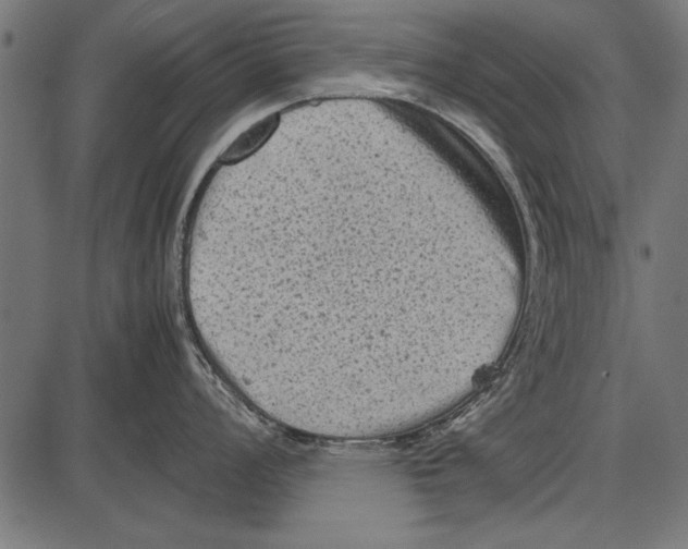 X0000085731008200704091439