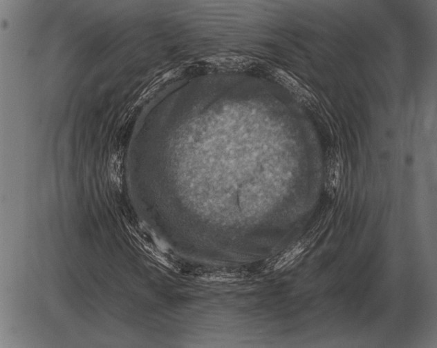 X0000085731010200704091438