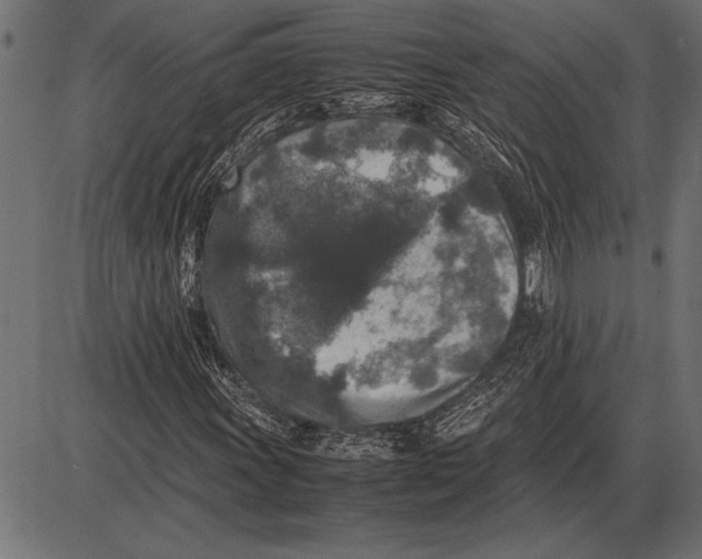 X0000085731011200704091438