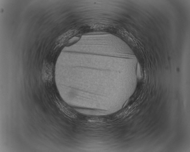 X0000085731012200704091438