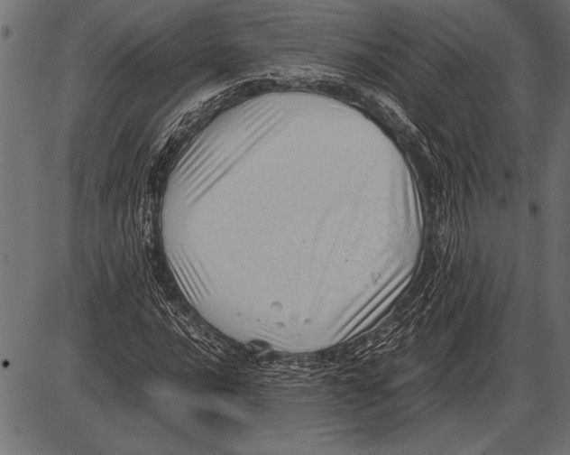 X0000085731016200704091438