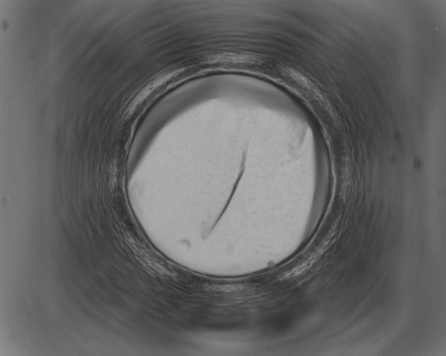 X0000085731017200704091438