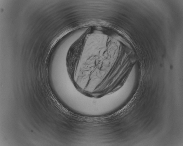 X0000085731018200704091438