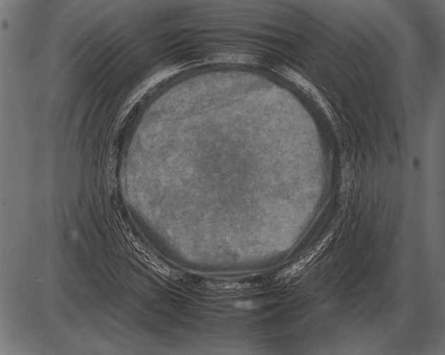 X0000085731019200704091438