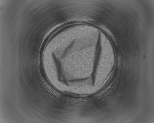 X0000085731020200704091439