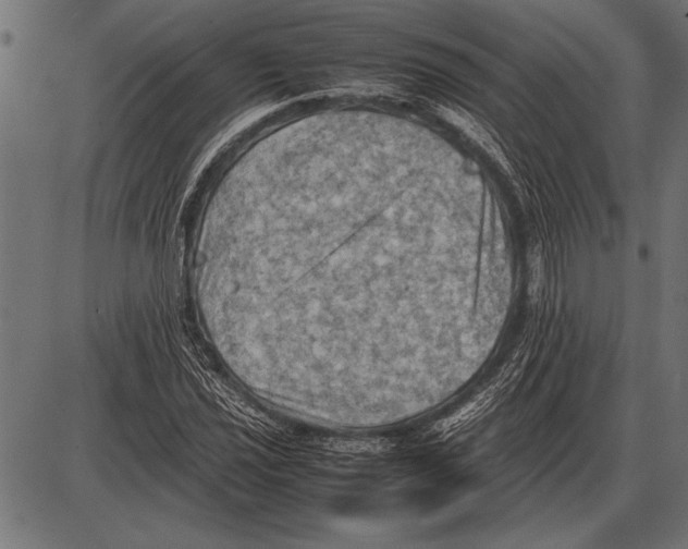 X0000085731021200704091439