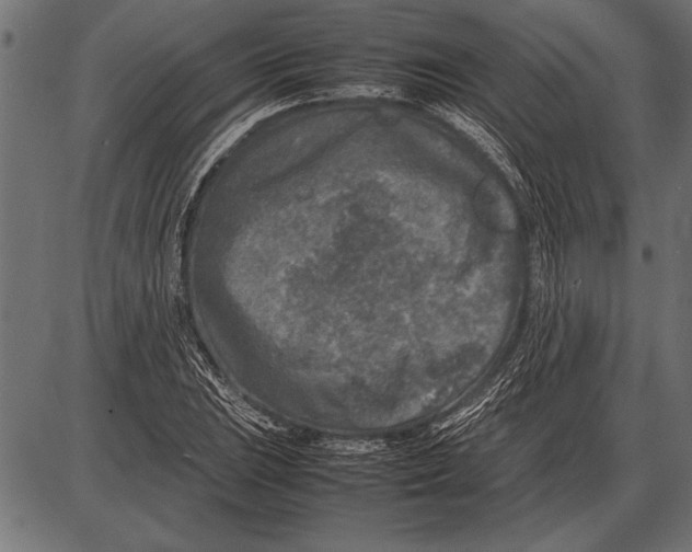 X0000085731023200704091439