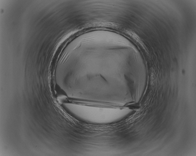 X0000085731024200704091439