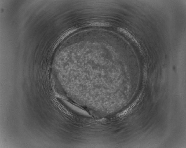 X0000085731025200704091439