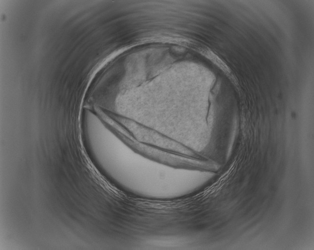 X0000085731028200704091439