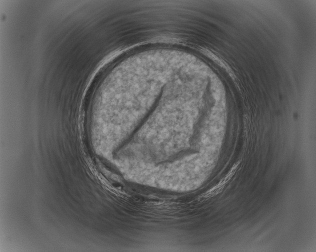 X0000085731029200704091439