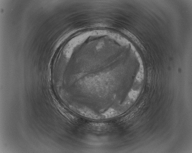 X0000085731031200704091439