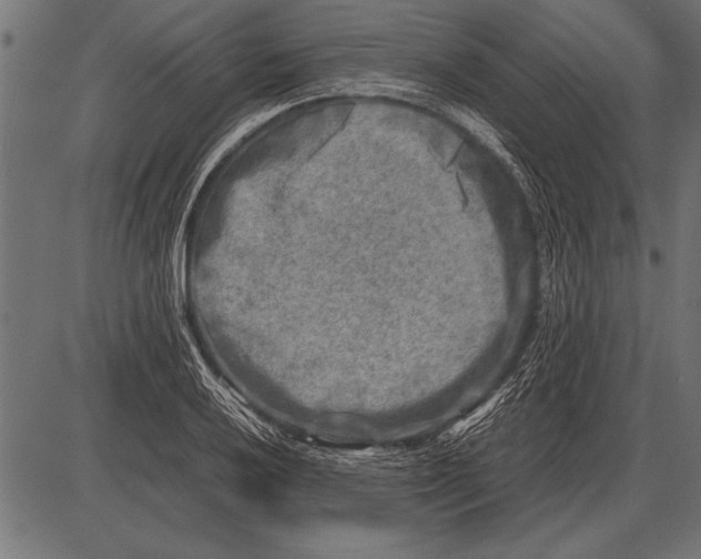 X0000085731032200704091439